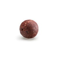 Rapid Boilies Easy Catch Squid 16mm- 950g