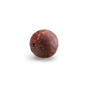 Rapid Boilies Easy Catch Squid 20mm- 3300g